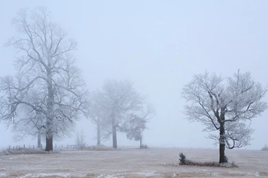 Swing Set On A Foggy Morning Wallpapers