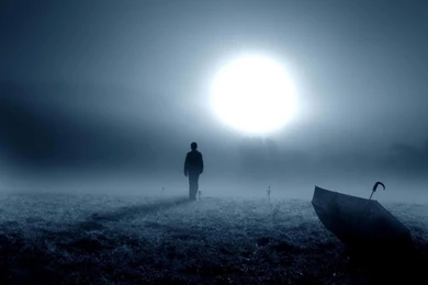 Desktop Wallpapers · Gallery · Computers · The Field Of Fog After ...