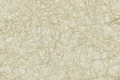 Textures Wallpapers Textural Vol Ii Shop Wallcovering By Collection ...