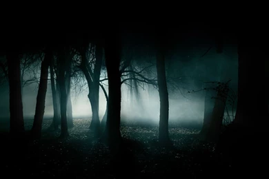 Dark Forest HD Wallpapers