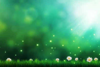1366x768 Daisies Green Backgrounds Wallpapers