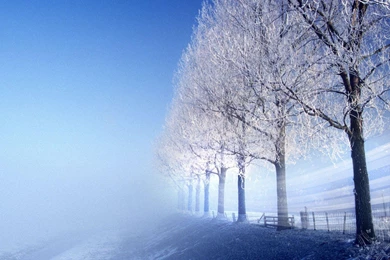 Landscape Astonishing Nature Quality Winter Backgrounds Picture ...