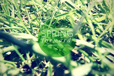 Free Spring Desktop Wallpapers Download