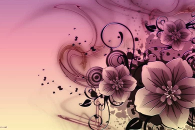 Download Abstract Pink Flowers Wallpapers