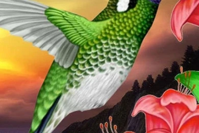 Wonderful Abstract Color Flowers Iphone 4 Wallpapers Free 640x960 ...