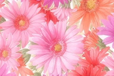 Cute Cell Phone Wallpapers Hd Mobile Wallpapers