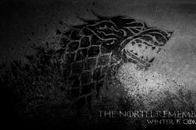 The Angry Wolf Wallpapers (Various Versions)   Album On Imgur