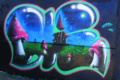 Beautiful HD Graffiti Wallpapers (12)   Ultra HD Wallpapers