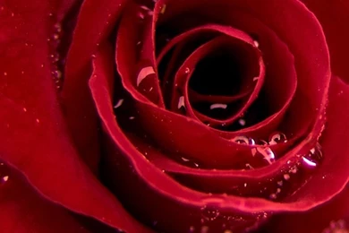 30+ Best Cool Retina iPhone 6 Wallpapers & Backgrounds In HD Quality