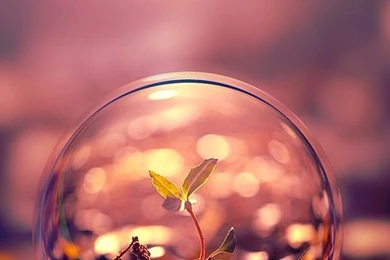 Autumn Rain iPhone 5s Wallpapers Download