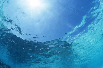 Underwater Wallpapers   Nature Wallpapers