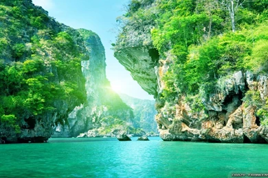 Summer Nature Wallpapers   Crazy Frankenstein