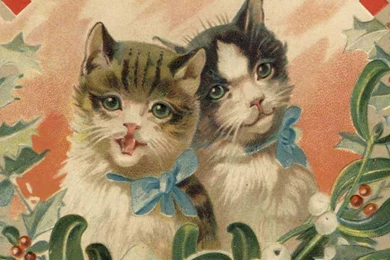 Kittens Wallpapers   LilyZ Wallpapers (33124266)   Fanpop