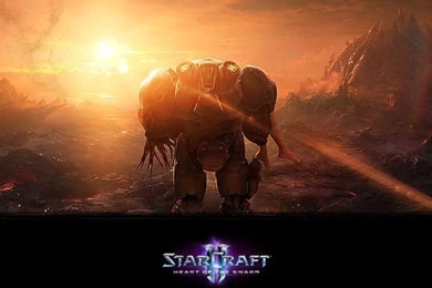 Wallpapers   Media   StarCraft II