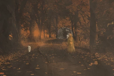 1920x1080 Halloween Ghost Desktop PC And Mac Wallpapers