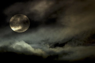 Halloween Theme Wallpapers 62189