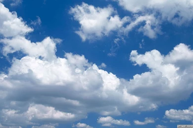 Widescreen Full Hd Wallpapers   Your HD Wallpapers