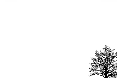 Simple Backgrounds Pictures