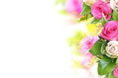 Download Wallpapers 2048x1152 Roses, Flowers, Composition ...