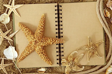 Starfish Notebook >> HD Wallpaper, Get It Now!