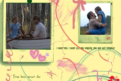 The Notebook Wallpapers   The Notebook Wallpapers (3839242)   Fanpop