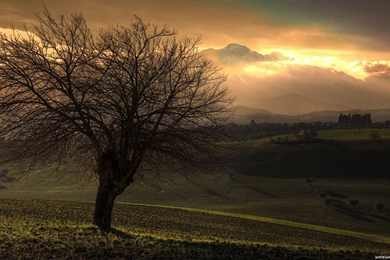 Nature Sunset 1920x1080 Wallpaper Backgrounds