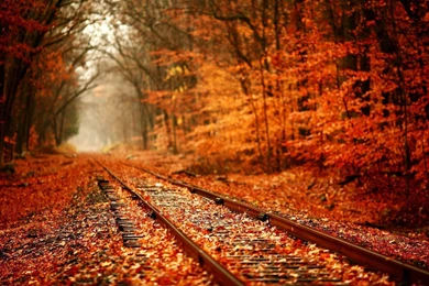 1920x1080 Railway Autumn Wallpapers
