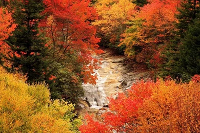 Beautiful Fall, Autumn, Blue, 1920x1080 HD Wallpapers And FREE ...