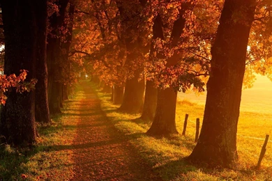 HD Quality Beautiful Autumn Widescreen Wallpapers HD 3 ...