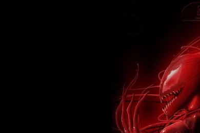 Browsing Other On DeviantArt