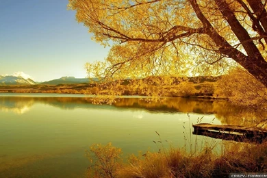 Autumn Scenes Wallpapers   Seasonal   Crazy Frankenstein