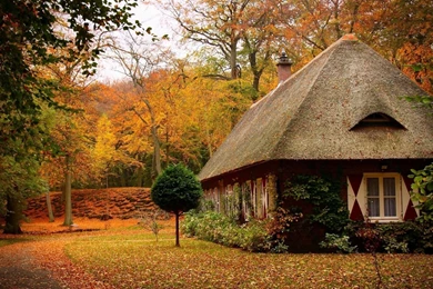 Download Wallpapers 1920x1080 Cabins, Forest, Autumn, House ...