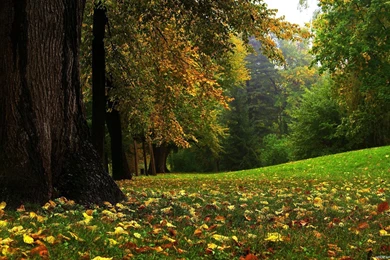 News And Entertainment: Wallpapers 1920x1080 (Jan 05 2013 21:56:29)