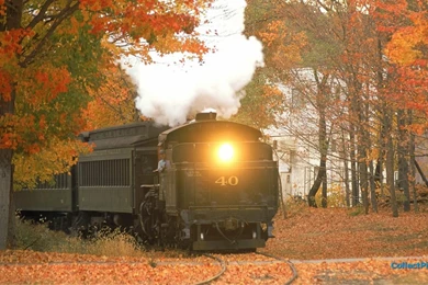 Train In Autumn Wallpapers HD 1920x1080