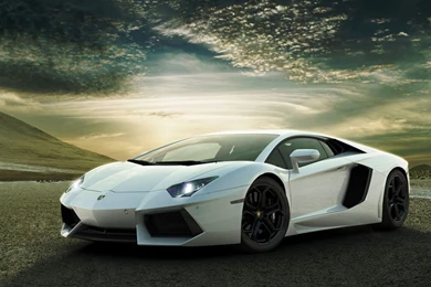 White Lamborghini Aventador Wallpapers