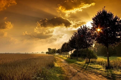 1600x900 Sunset Field Road Wallpapers