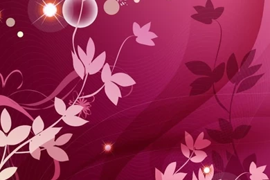 Download Flower Rose Abstract Wallpapers For iPhone 4