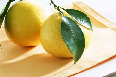 Lemon Wallpapers   Fruit Wallpapers (6334028)   Fanpop