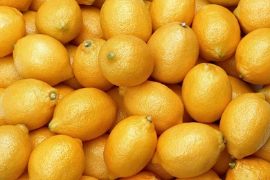 Lemon Computer Wallpapers, Desktop Backgrounds
