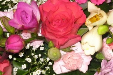 HD Colorful Rose Wallpapers Free Downloads For iPhone 6 750x1334 ...