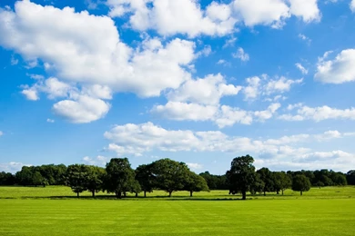 1920x1080 Summer Day Landscape Wallpapers