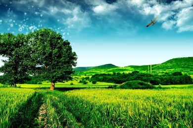 Landscape Wallpapers 1920X1080 Wallpapers