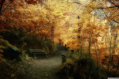 Fall HD Desktop Wallpapers : Widescreen : High Definition ...