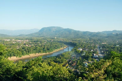 Sunflower Px Sunflower (id: 182131) – BUZZERG