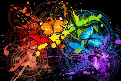 Colorful Butterfly HD Large Wallpapers