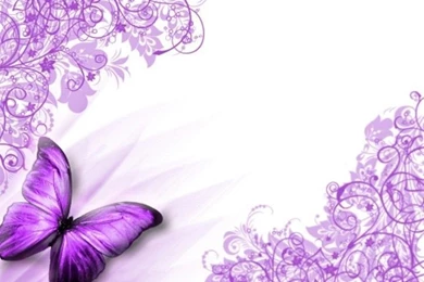 Purple Butterfly Wallpapers   Butterflies Photo (36777360)   Fanpop ...
