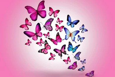 Butterflies Wallpapers Full HD [4096x3072]   Free Wallpapers Full Hd ...