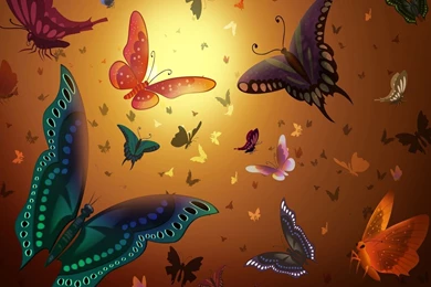 Beautiful Butterflies   Butterflies Wallpapers (9482003)   Fanpop