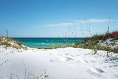 Florida Beach Wallpapers