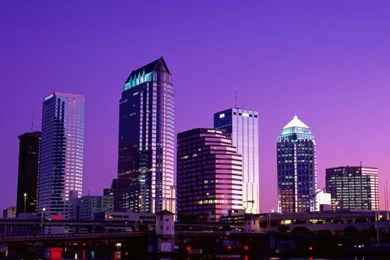 Tampa Buildings By Night, Florida   1600x1200   Wallpapers